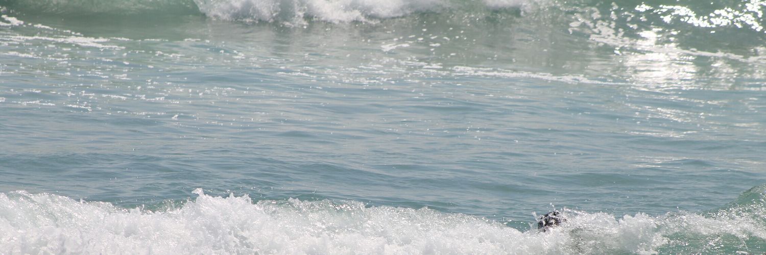 ClyEri's profile banner image