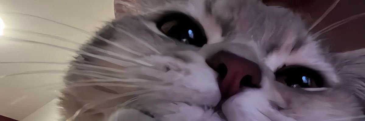 Nil_070's profile banner image