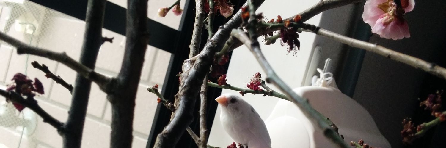 鄧 佳湄 トウジャメイ banner