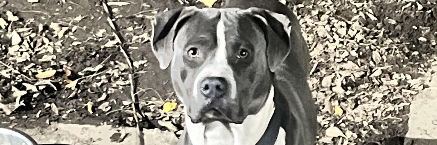 TiusvilleJr's profile banner image