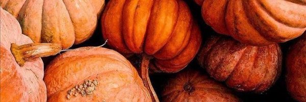 luann1031111 Profile Banner