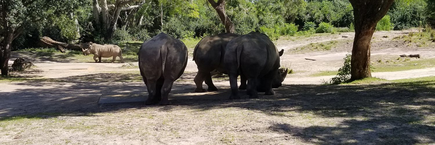 spencer purves banner