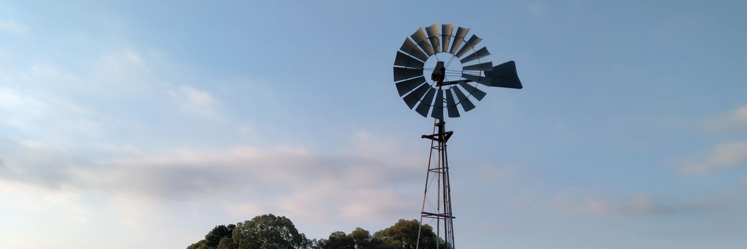 William Carlos Cummings banner