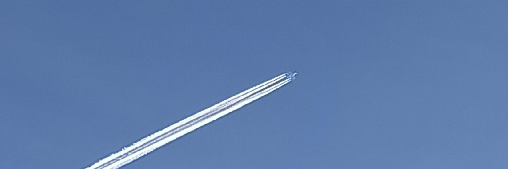 #LlibertatCatalunya🎗️ banner