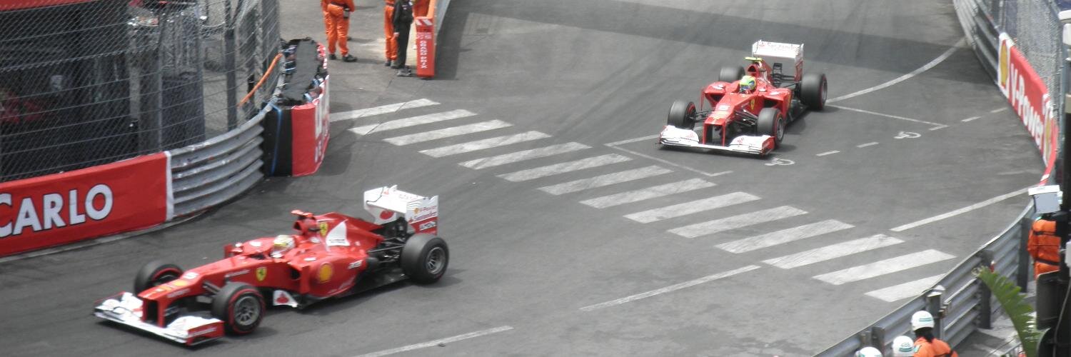 Roxanna Samii banner