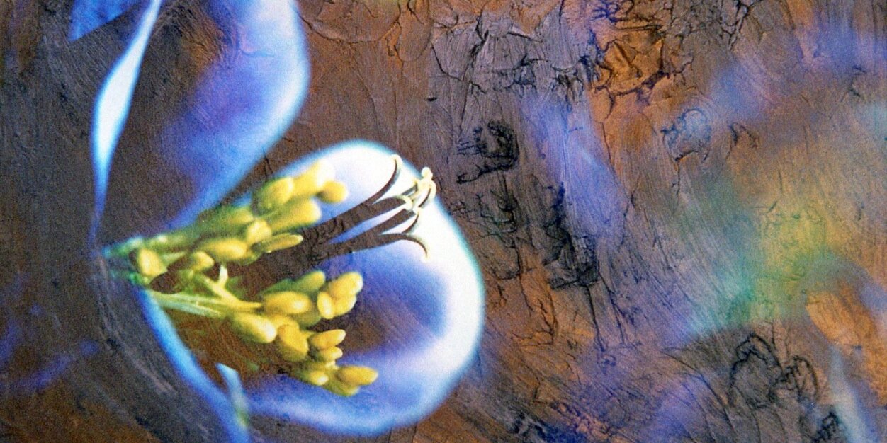 Tsingtao Amanda Zito banner