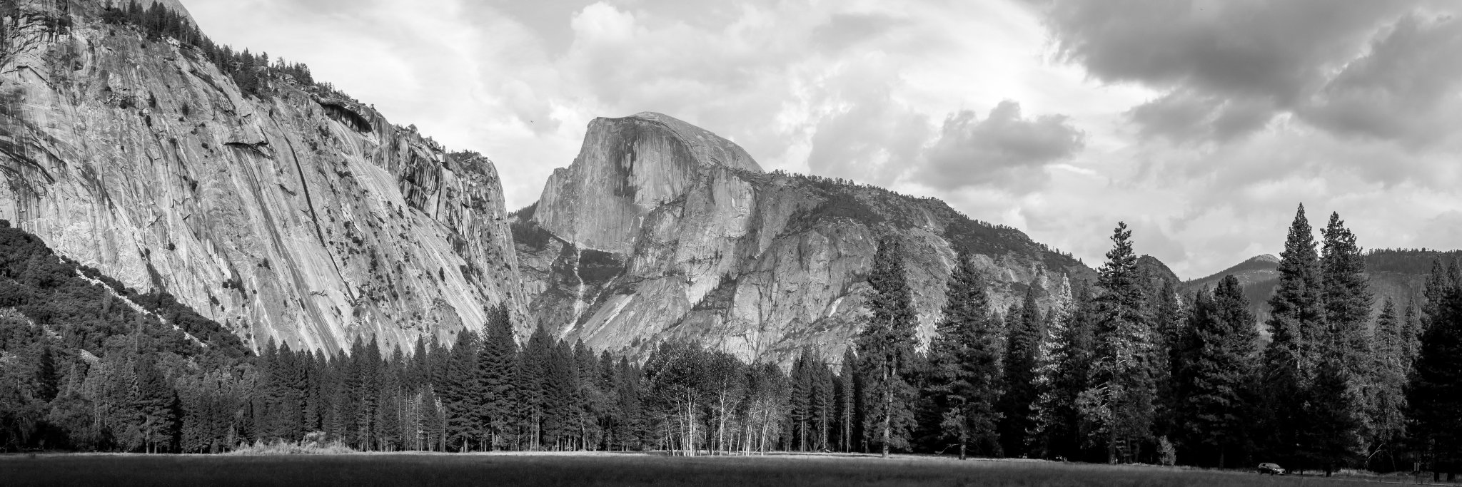 Bryan Murray™ banner