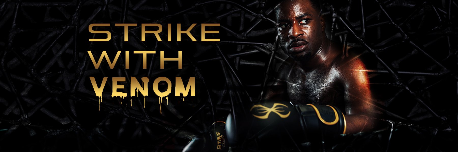 stingsports's profile banner image