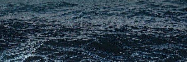 CHRAPPLEhistory Profile Banner