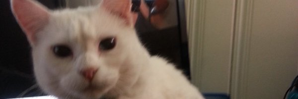 djconn Profile Banner