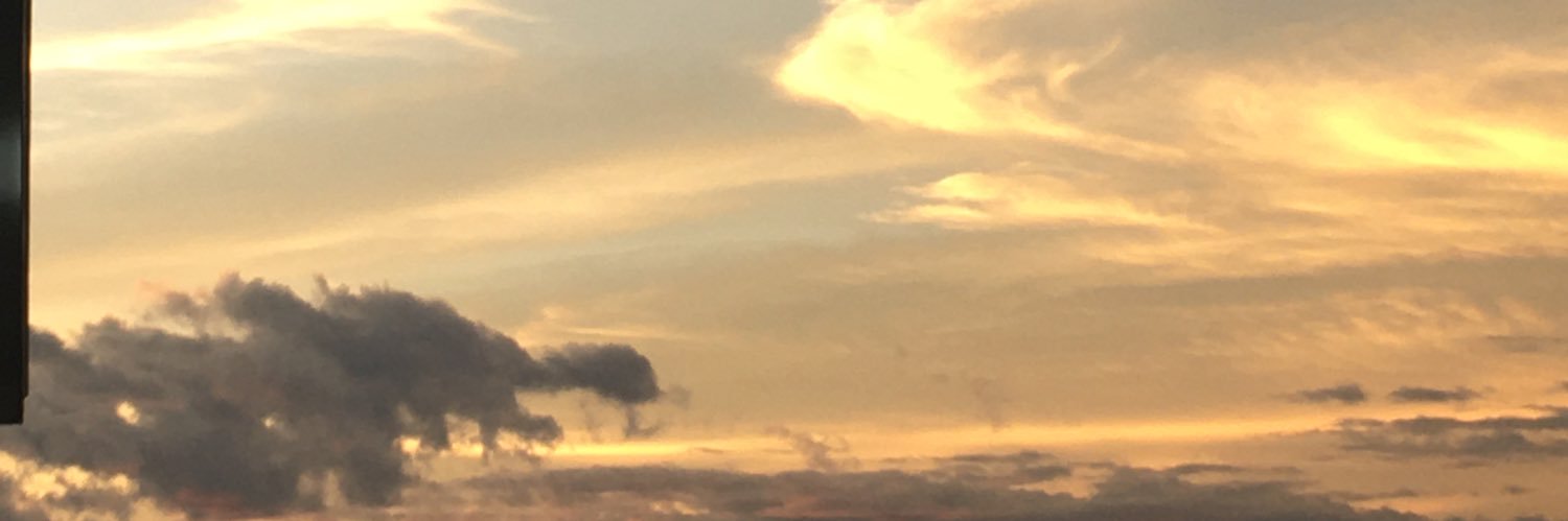 NE|| banner