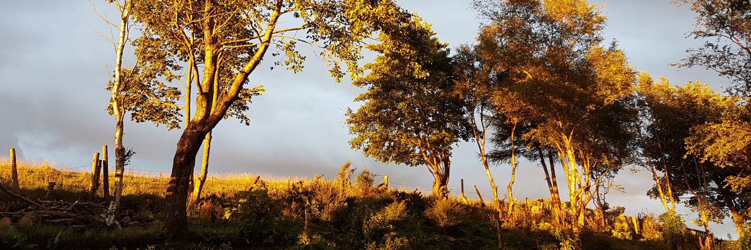 claretgobbin's profile banner image