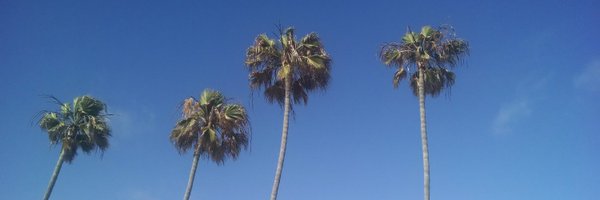RLMassoumi Profile Banner