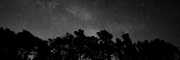 Socialiteaf_ Profile Banner