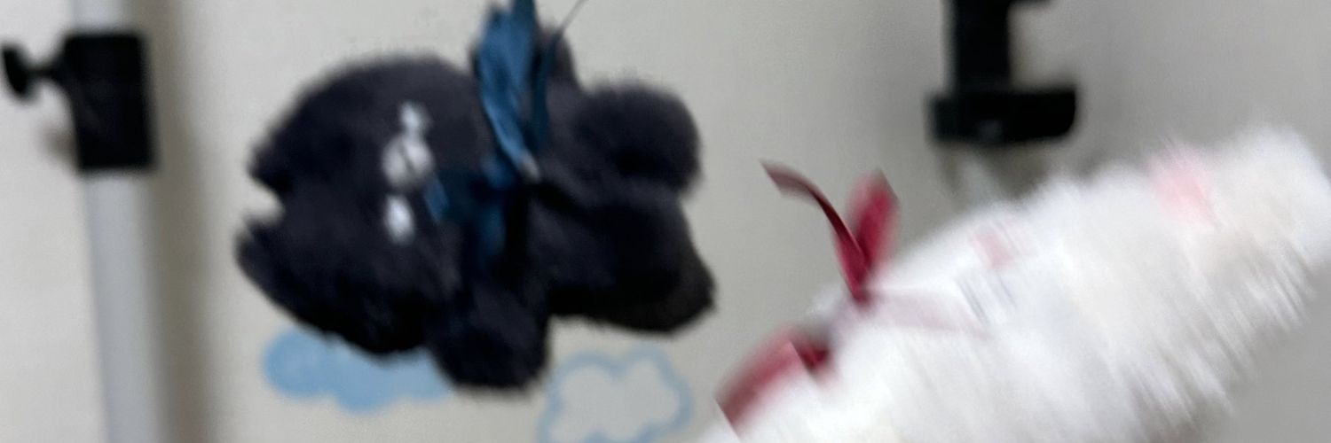tisi__co___'s profile banner image