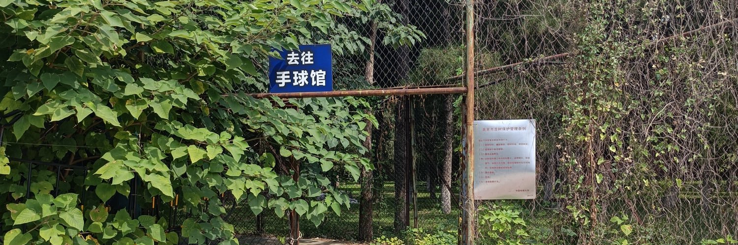 格晶格's banner