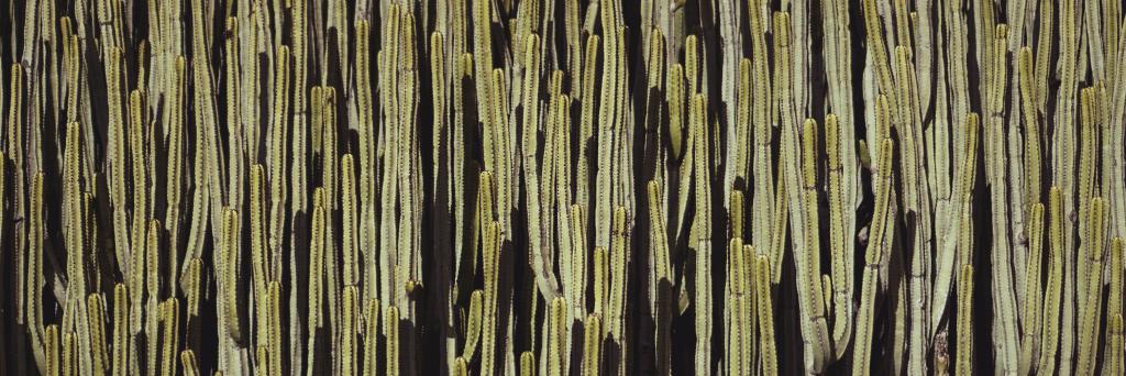 candy mecha 🃏 banner