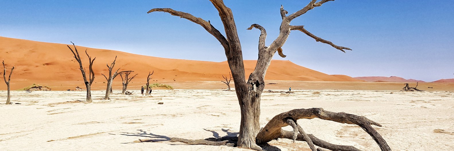 Pablo Baeza Centurion banner