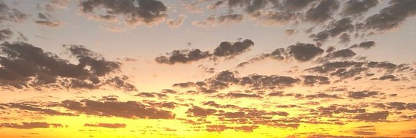 Saraindia22_ Profile Banner