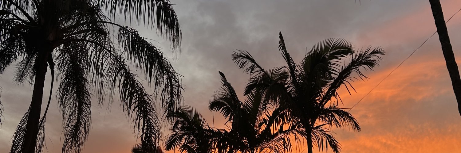 isabbeladuarte's profile banner image