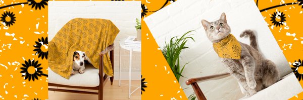 AllovaDesigns Profile Banner