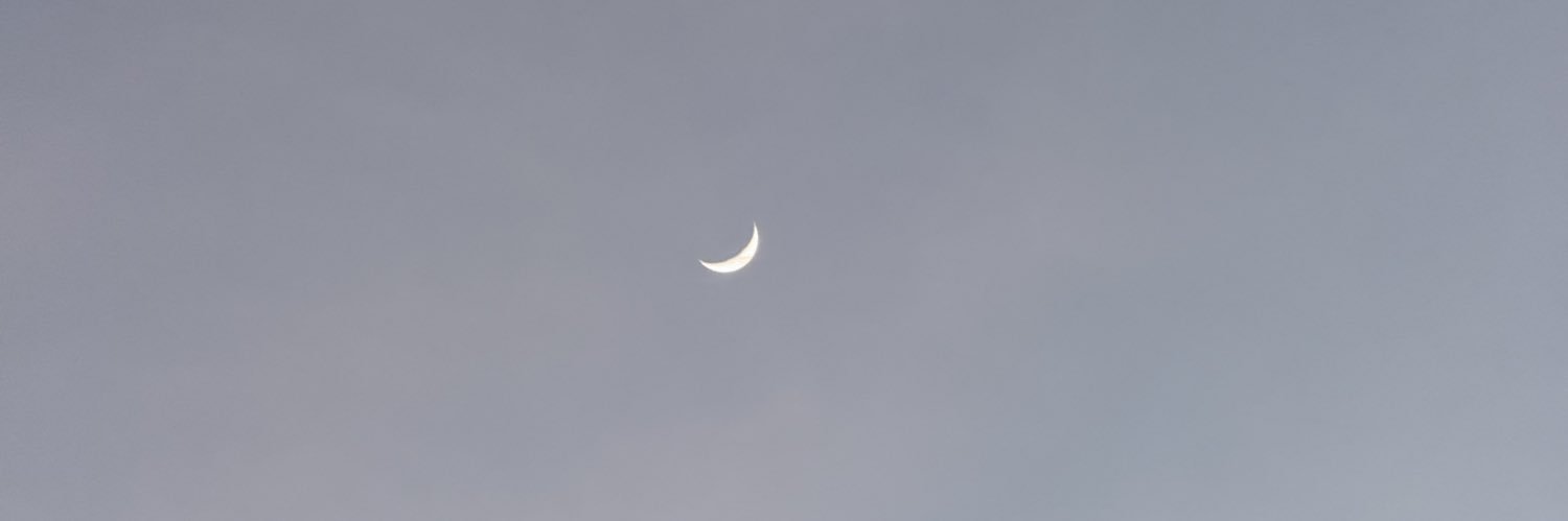 t—t banner