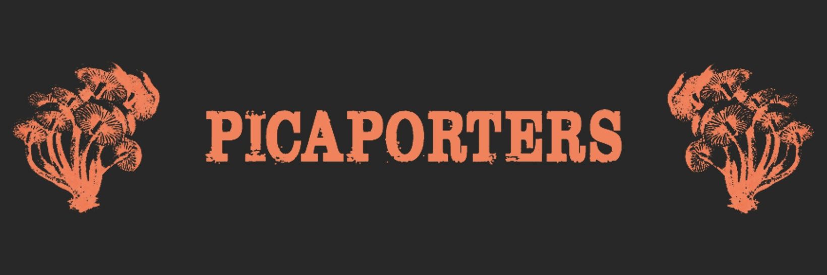 Picaporters's profile banner image