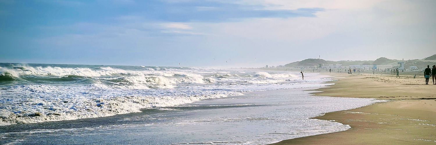 Mauro Picu 🇦🇷🐞 ⭐️⭐️⭐️ banner