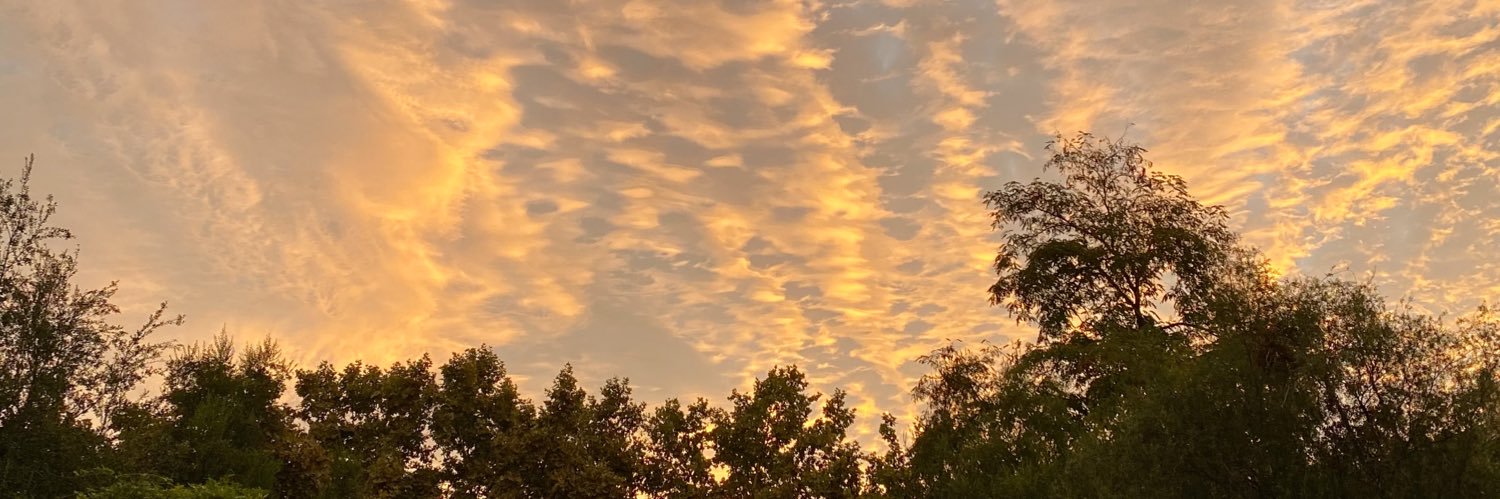 ✨🌸 ghostyyy 🌸✨ banner