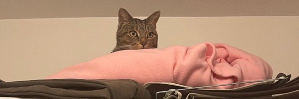 jeff_fanzi Profile Banner