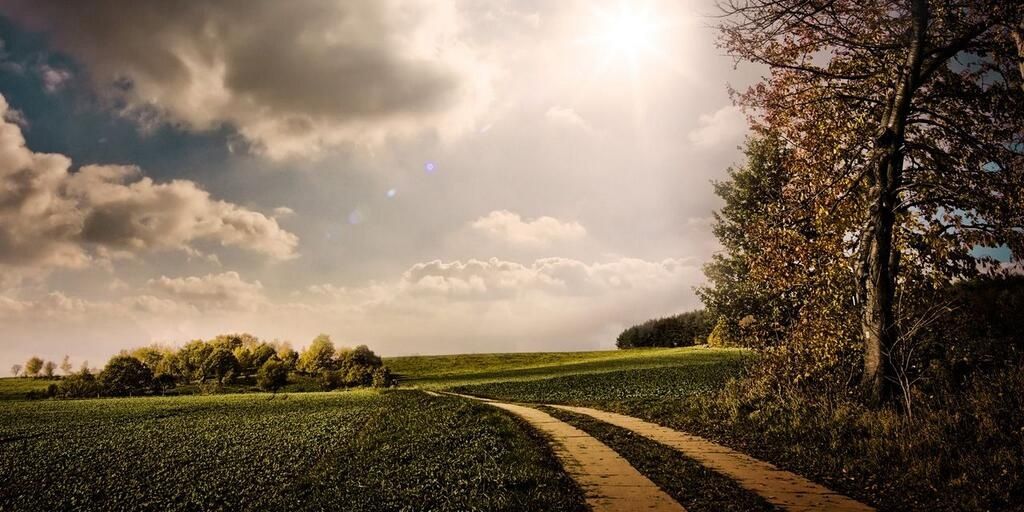 ShaniaWardani's profile banner image