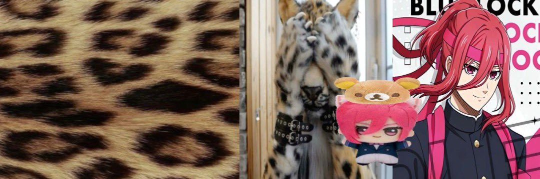 Nemo ੭୧ banner