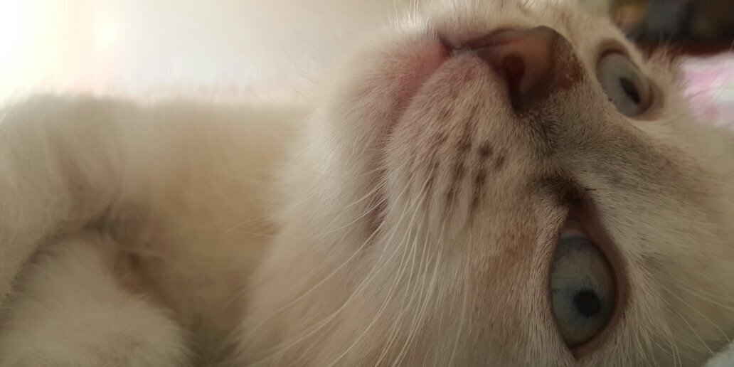 _SarahDeee's profile banner image