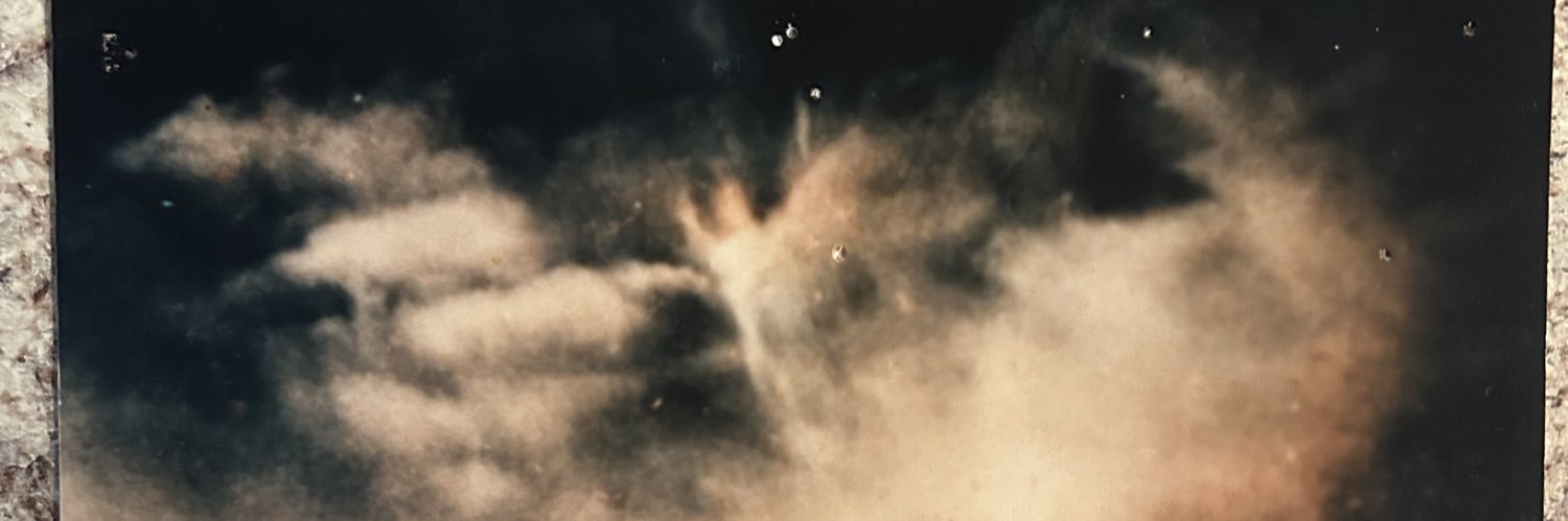 Desiree Wullich's banner