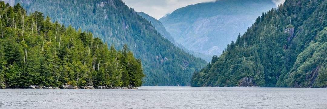 Jason Franklin banner