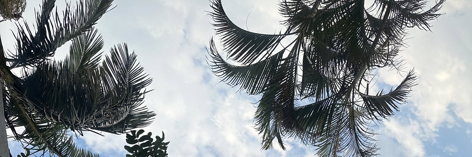 Beekie_2's profile banner image