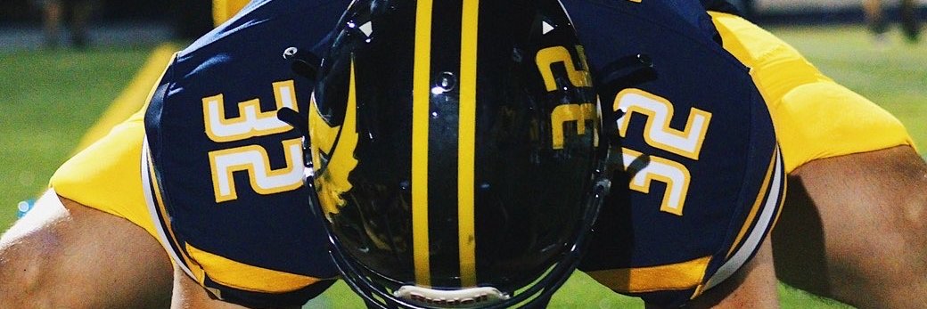 Carson Potter banner