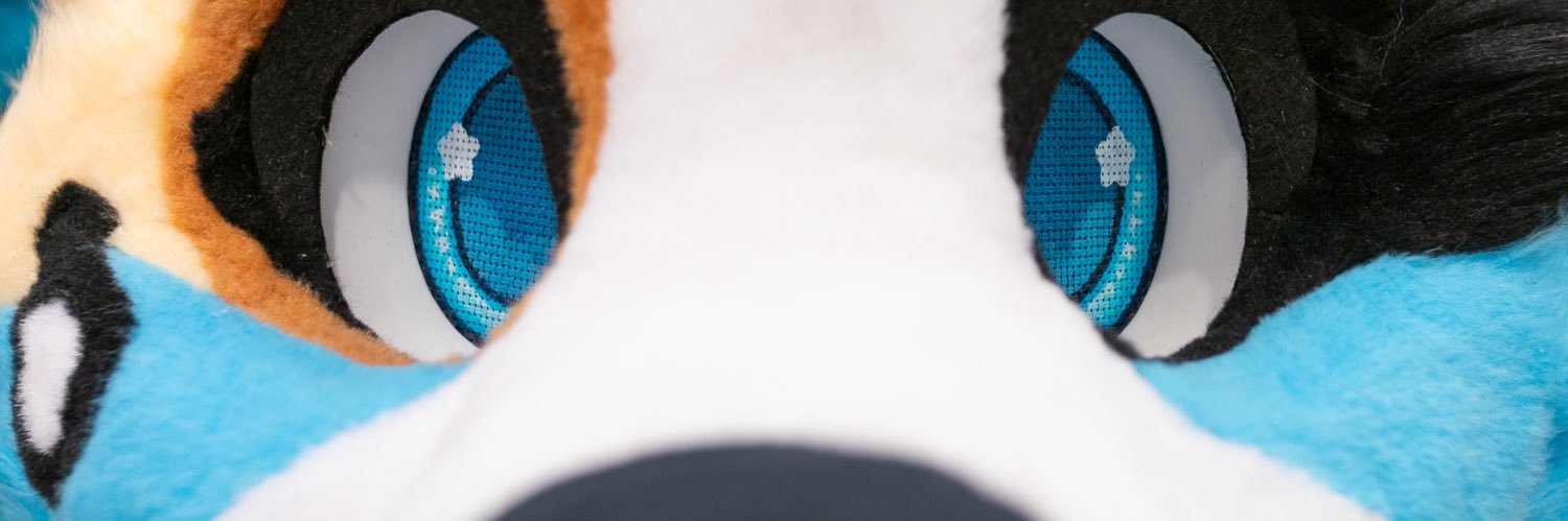 ✘ 𝕱𝖎𝖓𝖓𝖊𝖌𝖆𝖓 𝕭𝖑𝖚𝖊 ✘ banner