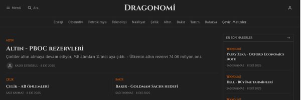 Dragonomi Profile Banner