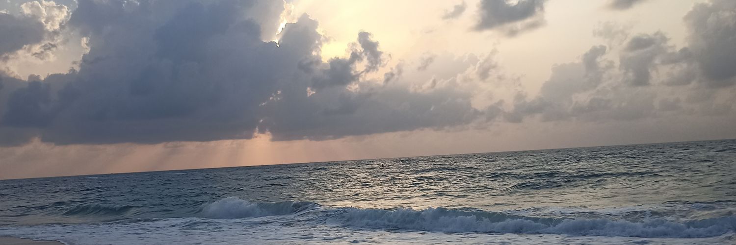 James Rothwell banner