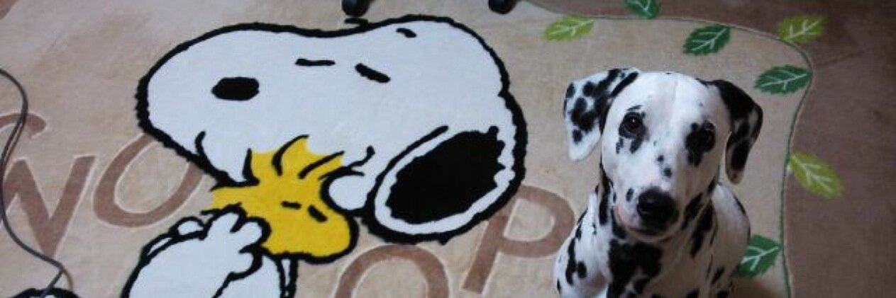 takaMD🏎️🔧🐾 banner