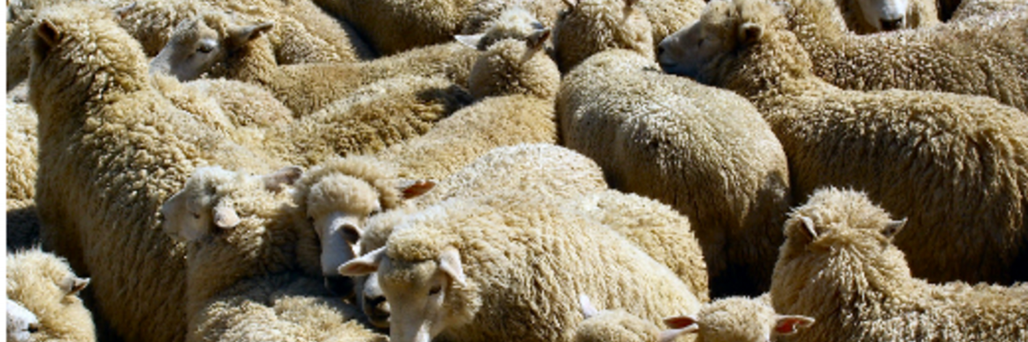 герасименко (@planca) / Twitter