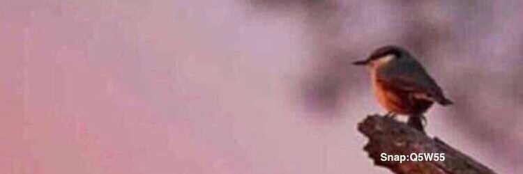 heemo9910's profile banner image