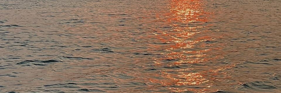 Sachin_d20's profile banner image