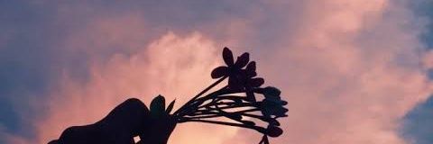 nomadenns's profile banner image