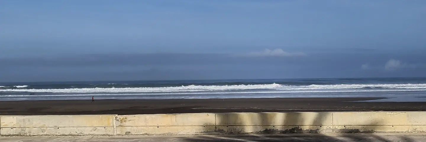 That Van Bird banner