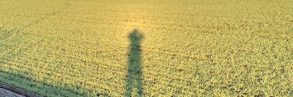 zunow5013 Profile Banner