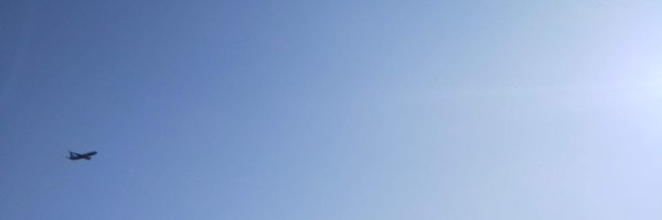 myintelligence8 Profile Banner