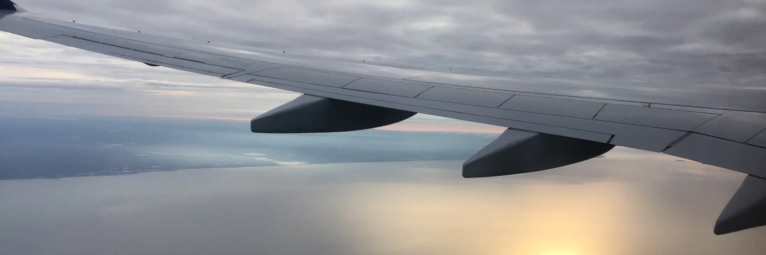 Lionnesss's profile banner image
