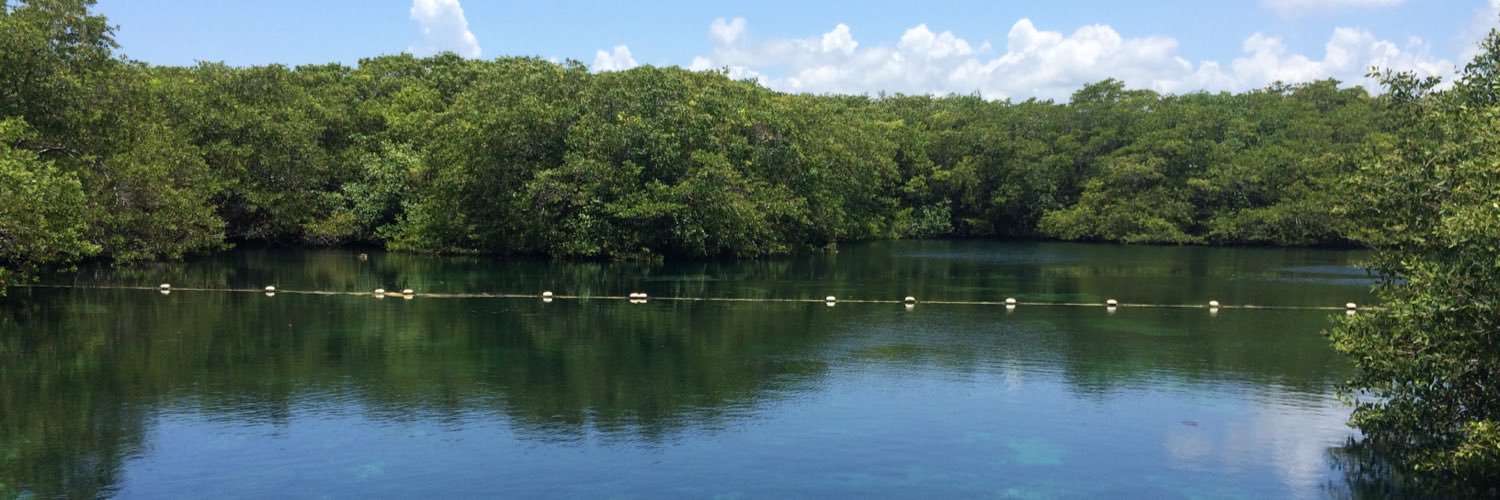 ines muñoz de baena banner